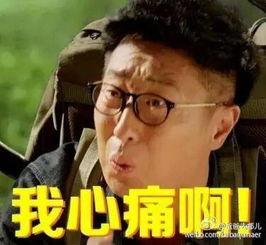 爸爸去哪第五季表情包 第3张 爸爸去哪第五季表情包 第3张