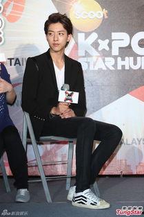 娱乐李正信,娱乐界的璀璨明星，魅力四射的舞台王者