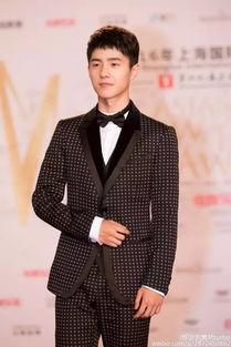 男明星 八字,探寻男明星命运轨迹的神秘面纱  第3张