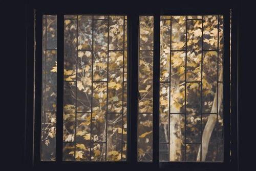 梧桐雨图片,诗意画卷中的古典风情  第2张