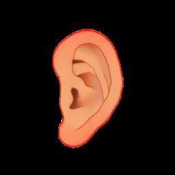 听觉图片,探索听觉图片的独特魅力  第3张